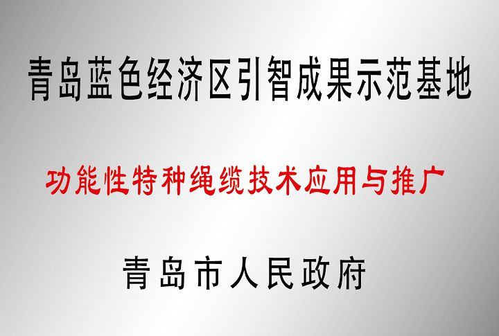 青島市功能性特種繩纜技術(shù)應用與推廣引智成果示范基地.jpg