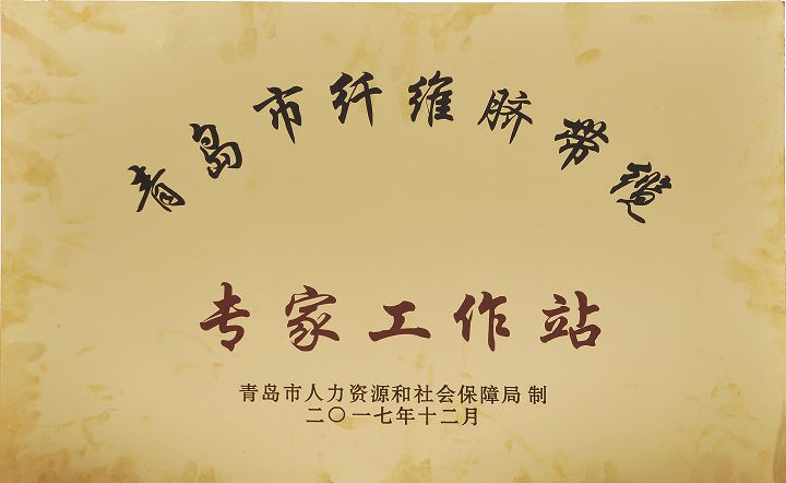 青島市纖維臍帶纜專(zhuān)家工作站.jpg